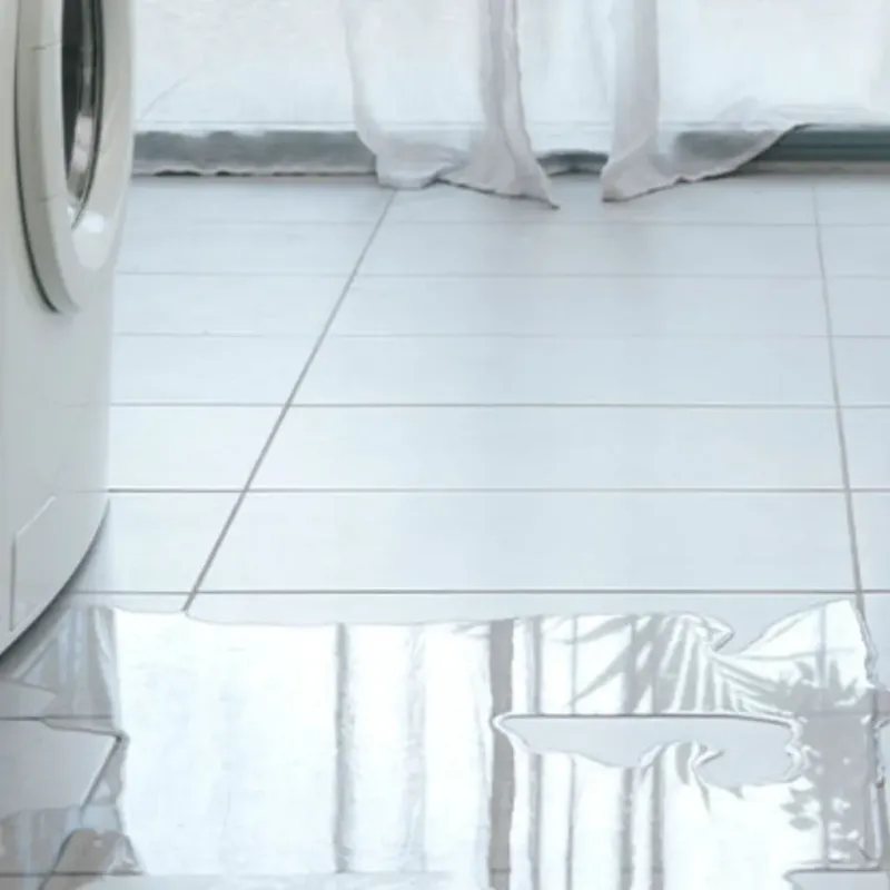 Appliance Leak Cleanup in Galena, KS