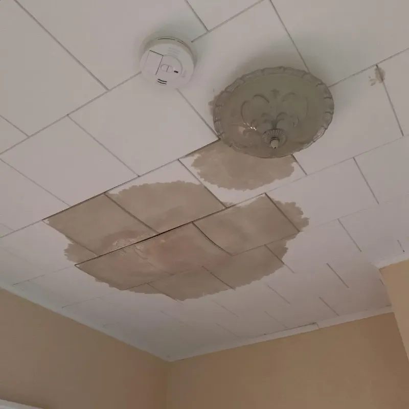Ceiling Water Damage Repair in Galena, KS